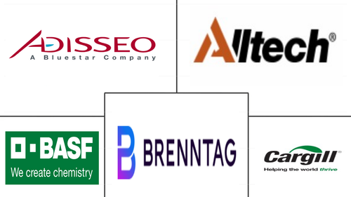 Feed Mycotoxin Detoxifiers Market Major Players